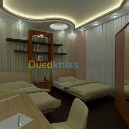 plaquist et dicoration de ba13