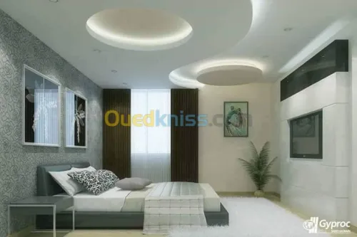 plaquist et dicoration de ba13