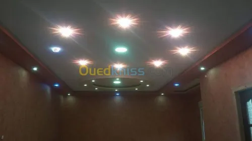 plaquist et dicoration de ba13