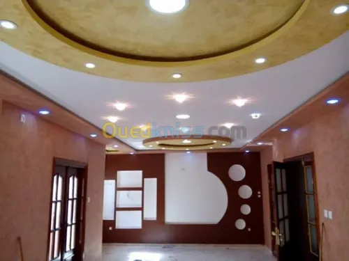 plaquist et dicoration de ba13