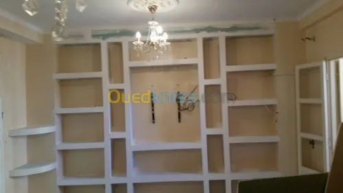 plaquist et dicoration de ba13