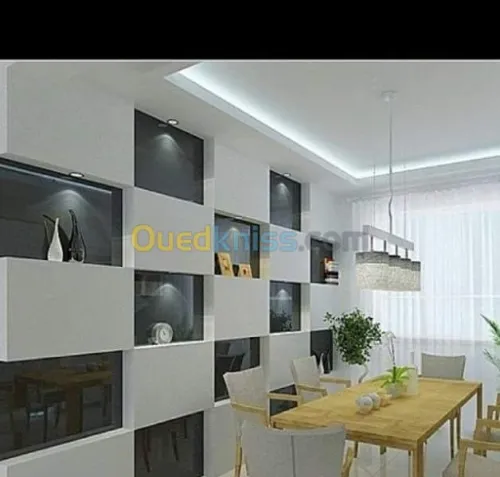 plaquist et dicoration de ba13