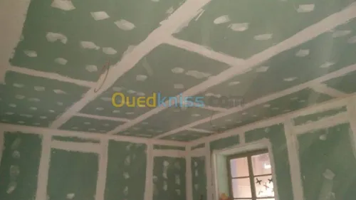 plaquist et dicoration de ba13