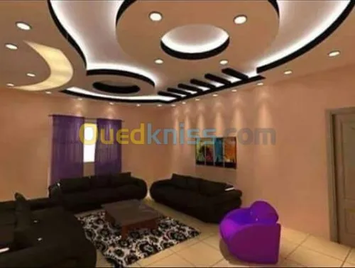 plaquist et dicoration de ba13