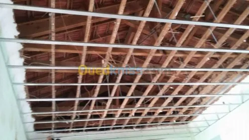 plaquist et dicoration de ba13