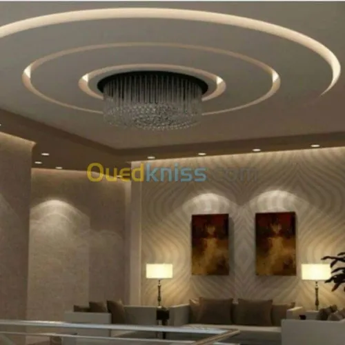 plaquist et dicoration de ba13