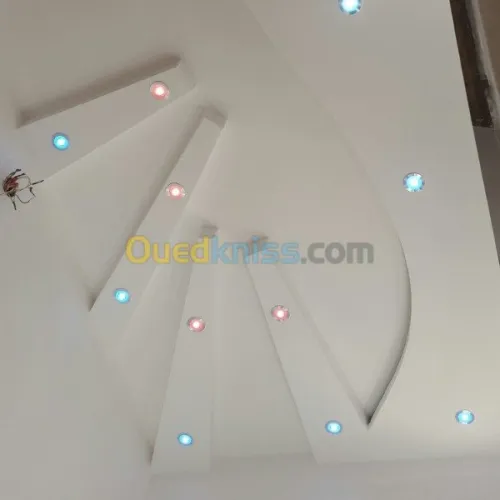 plaquist et dicoration de ba13