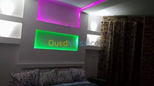 plaquist et dicoration de ba13