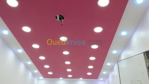 plaquist et dicoration de ba13