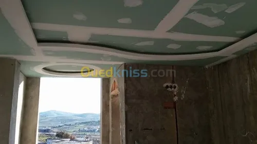 plaquist et dicoration de ba13