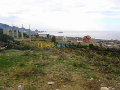 Vente Terrain Jijel El aouana