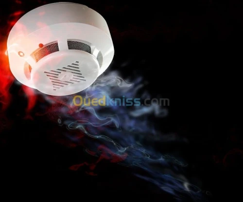 Système anti incendie 