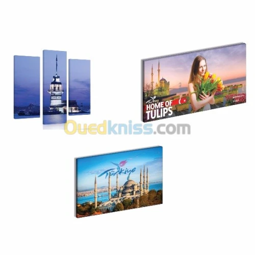 société Algéro - Turc