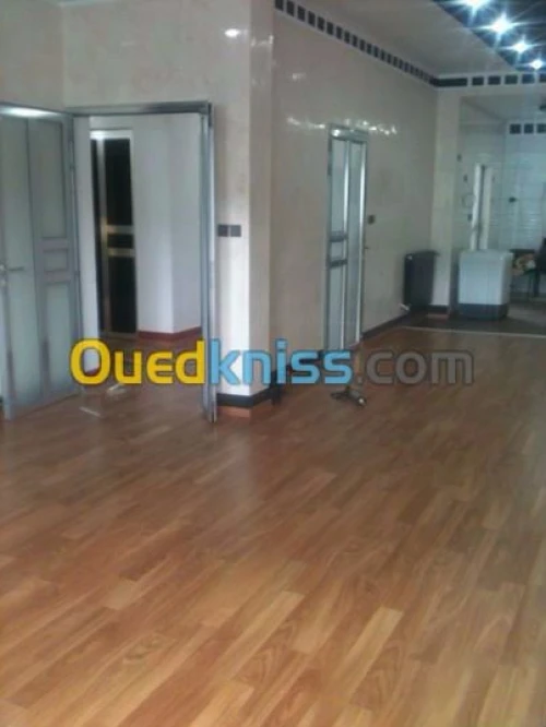 Parquet. Faux plafond 