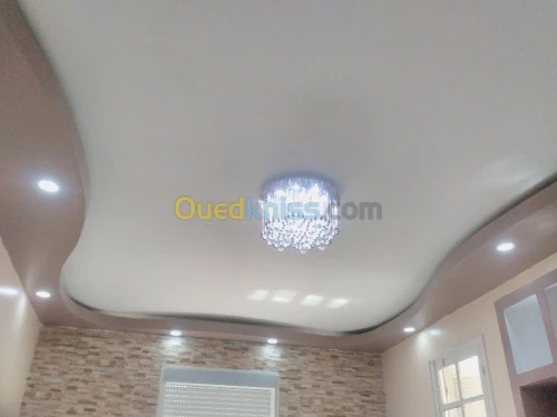 Pose de plafond et habillage murale 