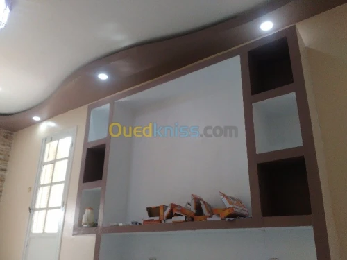 Pose de plafond et habillage murale 