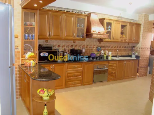 CONCEPTION SCHEMA CUISINES DRESSING 3D