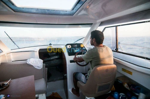 organisateur de sortie en mer 