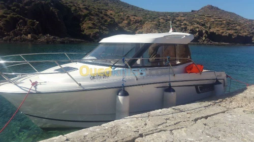 organisateur de sortie en mer 