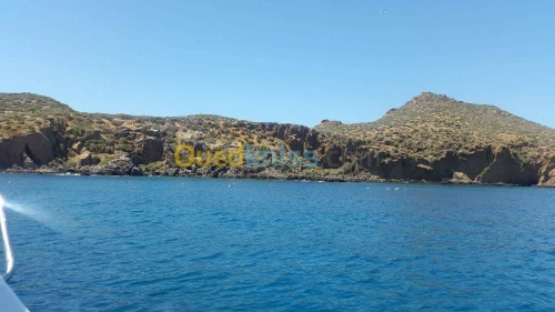 organisateur de sortie en mer 