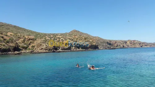 organisateur de sortie en mer 