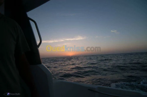 organisateur de sortie en mer 