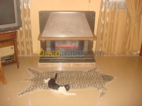 Vente Villa Laghouat Laghouat