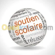 DONNE COURS DE FRANCAIS 