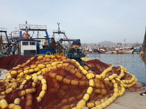 Location Bungalow Aïn Témouchent Bou zedjar