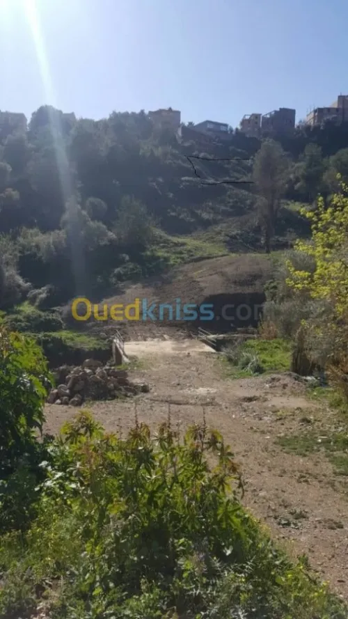Vente Terrain Bejaia Bejaia