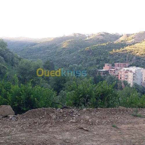 Vente Terrain Bejaia Bejaia