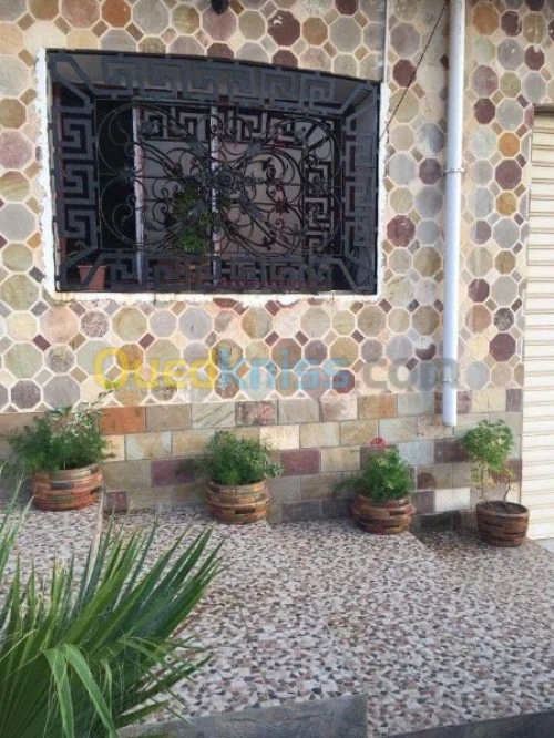 Location Appartement El Tarf El kala
