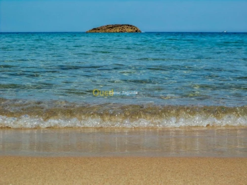 Location Appartement El Tarf El kala