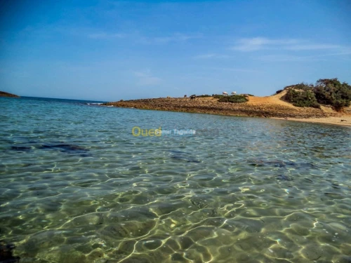 Location Appartement El Tarf El kala