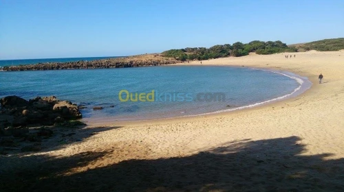 Location Appartement El Tarf El kala