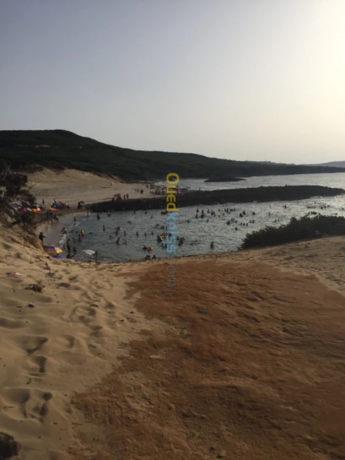 Location Appartement El Tarf El kala