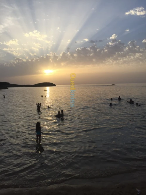 Location Appartement El Tarf El kala