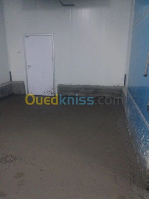 Dallage industriel algerie