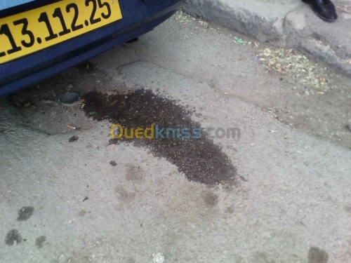 Decalaminage moteur VL & PL