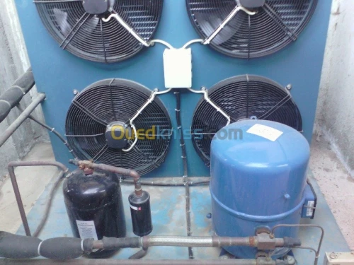 Entreposage frigorifique 