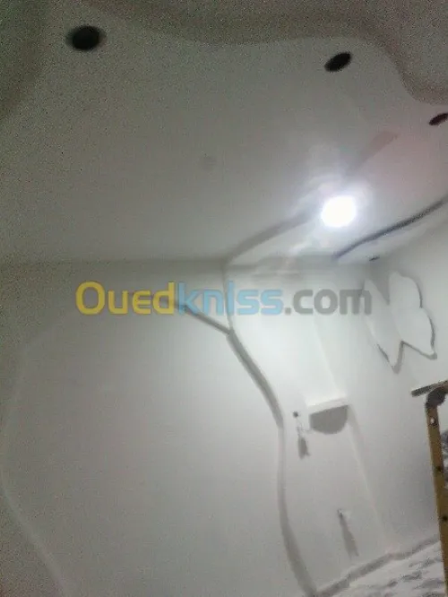 Décoration Placoplater