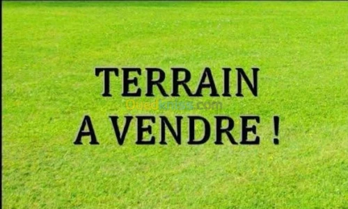 Vente Terrain Oran Oran