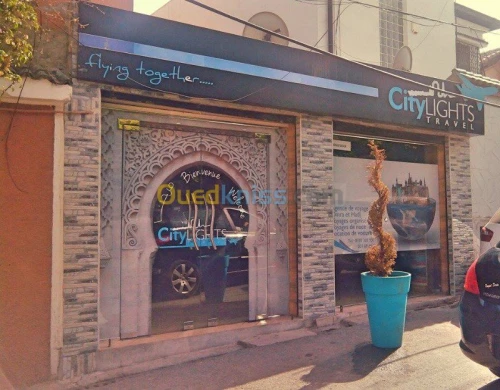 LOCATION MULTIVANE VIP 