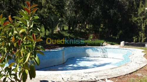  réalisation et equipement de piscines