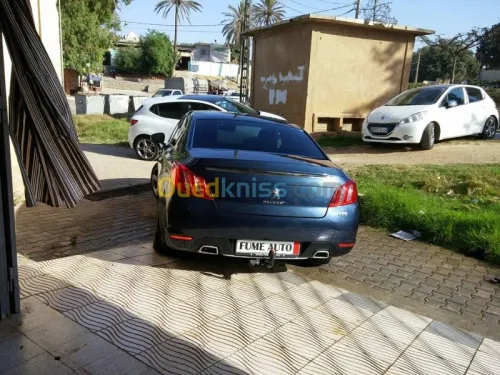 montage Fumé Prédécoupé sur mesure