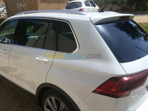 montage Fumé Prédécoupé sur mesure