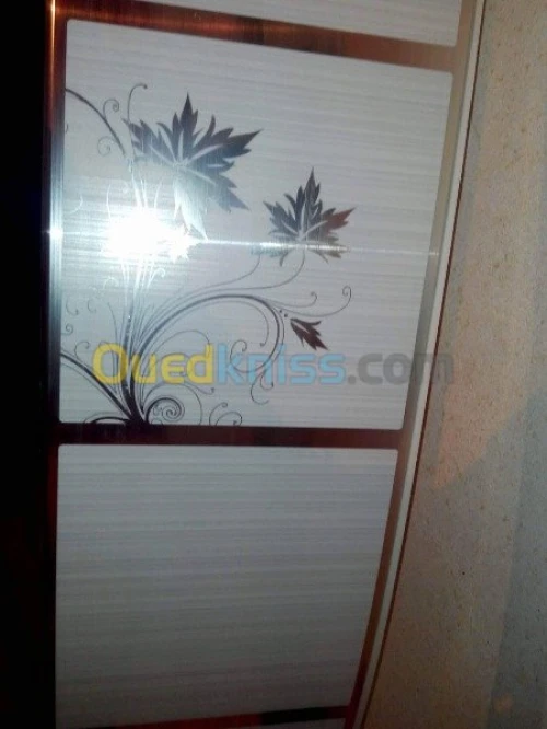 PLACO PLATRE FAUX PLAFON PVC  GROS ET DÉTAILS 