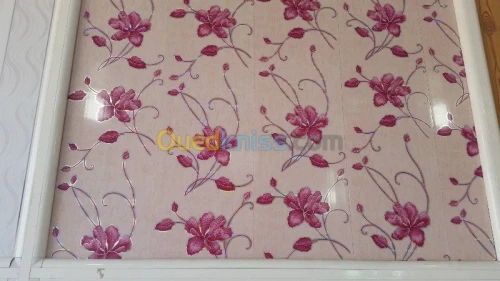 PLACO PLATRE FAUX PLAFON PVC  GROS ET DÉTAILS 