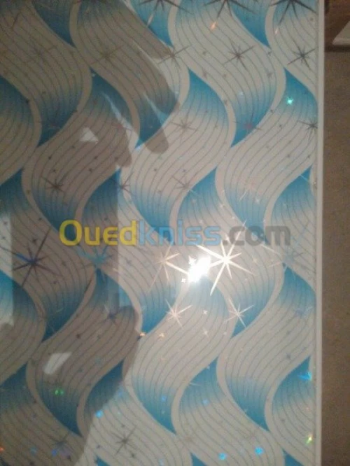PLACO PLATRE FAUX PLAFON PVC  GROS ET DÉTAILS 