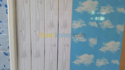 PLACO PLATRE FAUX PLAFON PVC  GROS ET DÉTAILS 